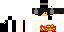Texture for Metior2014