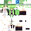 Texture for Luna