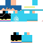 Texture for BR MER