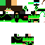 Texture for Steve