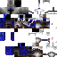 Texture for Try-1 Chevalier