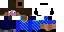 Texture for harvis1