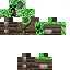 Texture for crepeercamu