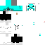 Texture for whitesam