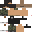 Texture for SRM2024 - SNCEF1