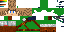 Texture for Link