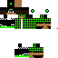 Texture for KEVIN