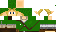 Texture for Link 03
