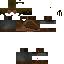 Texture for skine A