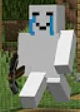 Texture for s