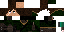 Texture for Scout