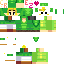 Texture for Link