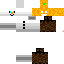 Texture for Snow-bot