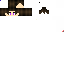 Texture for sondergamer
