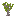 Texture for acacia sapling
