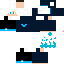 Texture for SKYTrocks