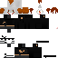 Texture for FIDS?FJSNDJ?K