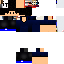 Texture for SwordFlepsGo
