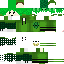 Texture for turtle