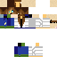Texture for Paddy