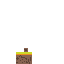 Texture for Tocha
