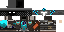 Texture for sdx