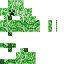 Texture for Realistic Creeper