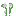 Texture for cotton