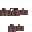 Texture for titan2004