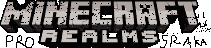Texture for BANNER