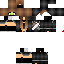 Texture for Assassin