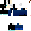 Texture for ENder jone