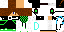 Texture for Dismond