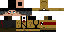 Texture for richtofenf