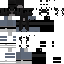 Texture for kotek48