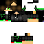 Texture for felix
