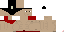 Texture for sumo