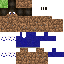 Texture for guideterra