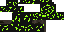 Texture for spider