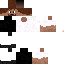 Texture for Sameo1000 Plain