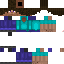 Texture for Steve