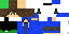 Texture for HAIDER