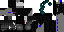 Texture for enderbot