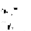 Texture for khjb