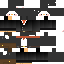 Texture for pinguin 