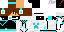 Texture for steve
