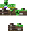 Texture for крипа