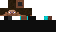 Texture for ninja steve