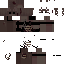 Texture for PH6L6P