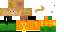 Texture for dd